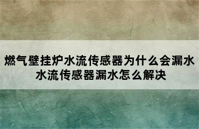 燃气壁挂炉水流传感器为什么会漏水 水流传感器漏水怎么解决